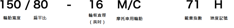 txt04