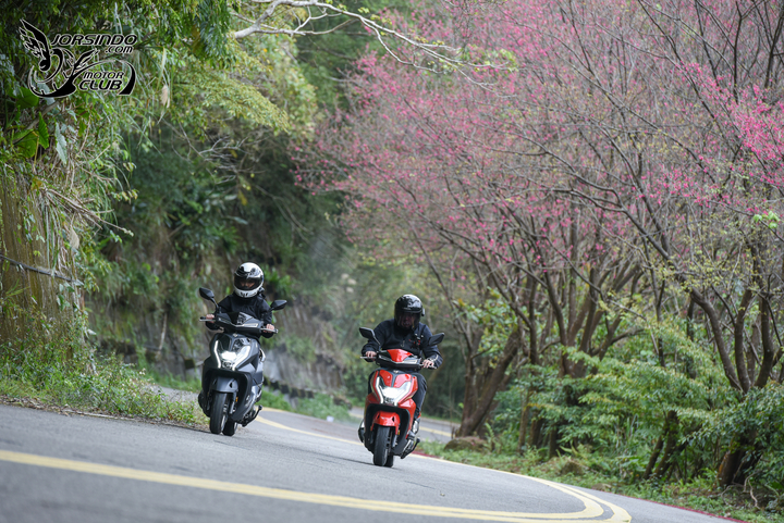 161352o50moo5okoyla59l.jpg.thumb