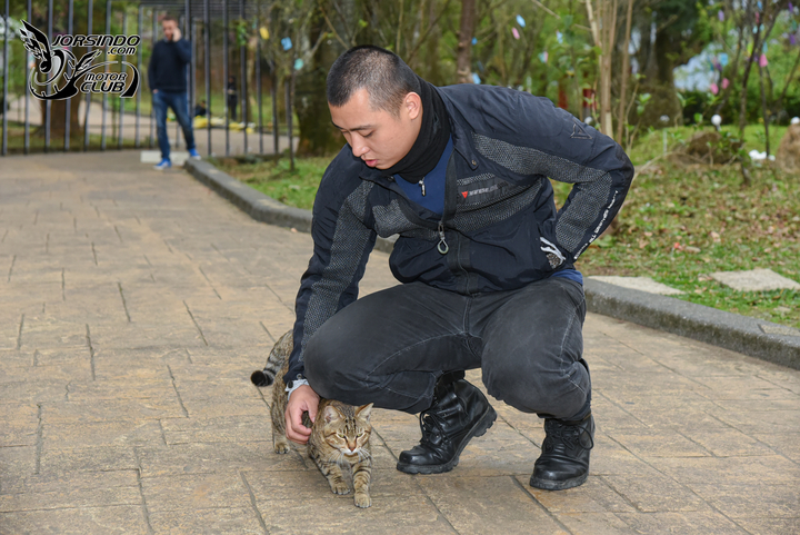 161413vect0dsoshh0csdk.jpg.thumb