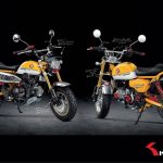 激推!HONDA「MONKEY 125」超實用改裝大全