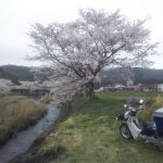 【車主有話說】目標十萬公里!HONDA「Super Cub 110 pro」