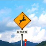 【編輯長專欄】遭遇野生動物時該採取什麼應變措施?