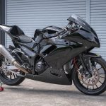 【車主有話說】便宜又好養!KAWASAKI「Ninja250」