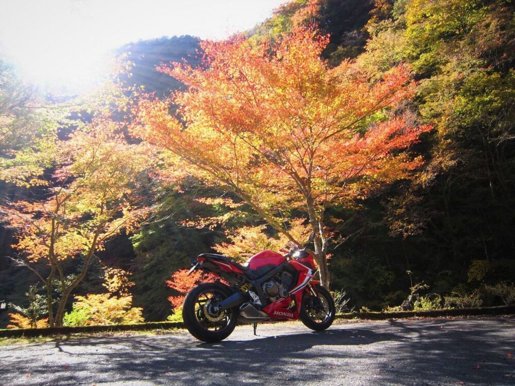 【騎車日記】與CBR650R去賞楓拍富士山！