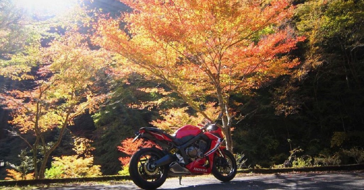 【騎車日記】與CBR650R去賞楓拍富士山！