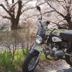 【車主有話說】最愛的小猴子!HONDA「MONKEY」