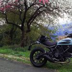 【車主有話說】DUCATI「SCRAMBLER Sixty2」