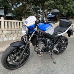 【車主有話說】紅牌入門首選!SUZUKI「SV650」