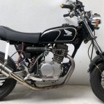 【车主有话说】经典乐趣小车 HONDA“APE 100”