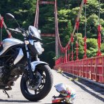 【车主有话说】欧系风格 SUZUKI“GLADIUS 650”