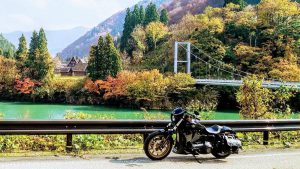 【車主有話說】哈雷「FXDLS DYNA LOWRIDER S」