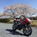 【車主有話說】義大利傳奇品牌 BIMOTA「DB4」