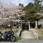 【騎車日記】與YZF-R3一起在家附近賞櫻花!