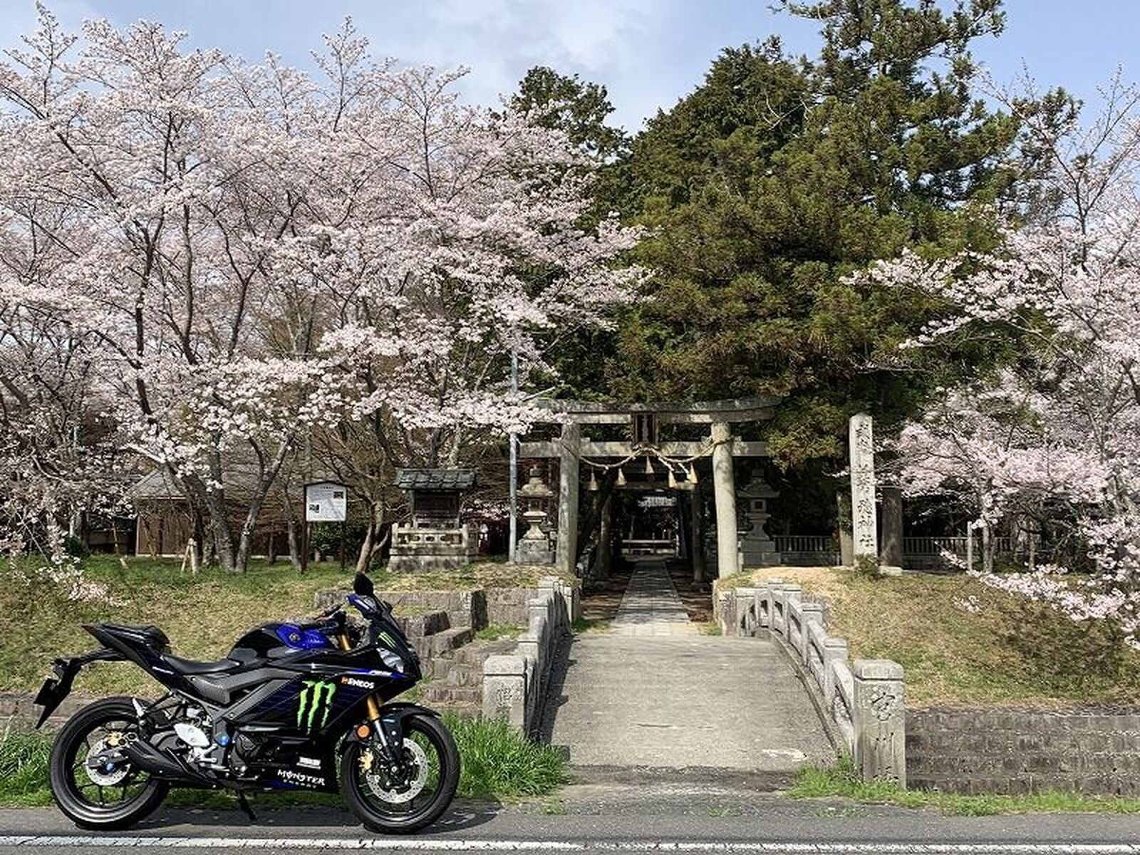 【騎車日記】與YZF-R3一起在家附近賞櫻花！