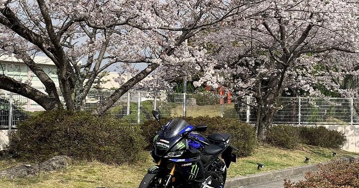 【骑车日记】与YZF-R3一起在家附近赏樱花！