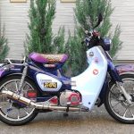 【车主有话说】最棒的CUB!HONDA“Super Cub C125”