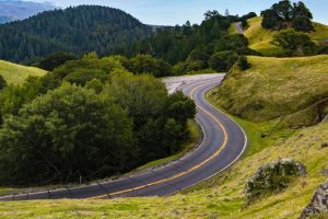 【編輯長專欄】山道非賽道!透過「這三點」來保持行車安全