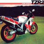 【車主有話說】NSR250勁敵!YAMAHA「TZR250」