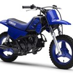 大小朋友都爱不释手!YAMAHA 2022年式“PW50”