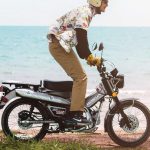 Hunter Cub 12 月大進化!?最強王者大躍進