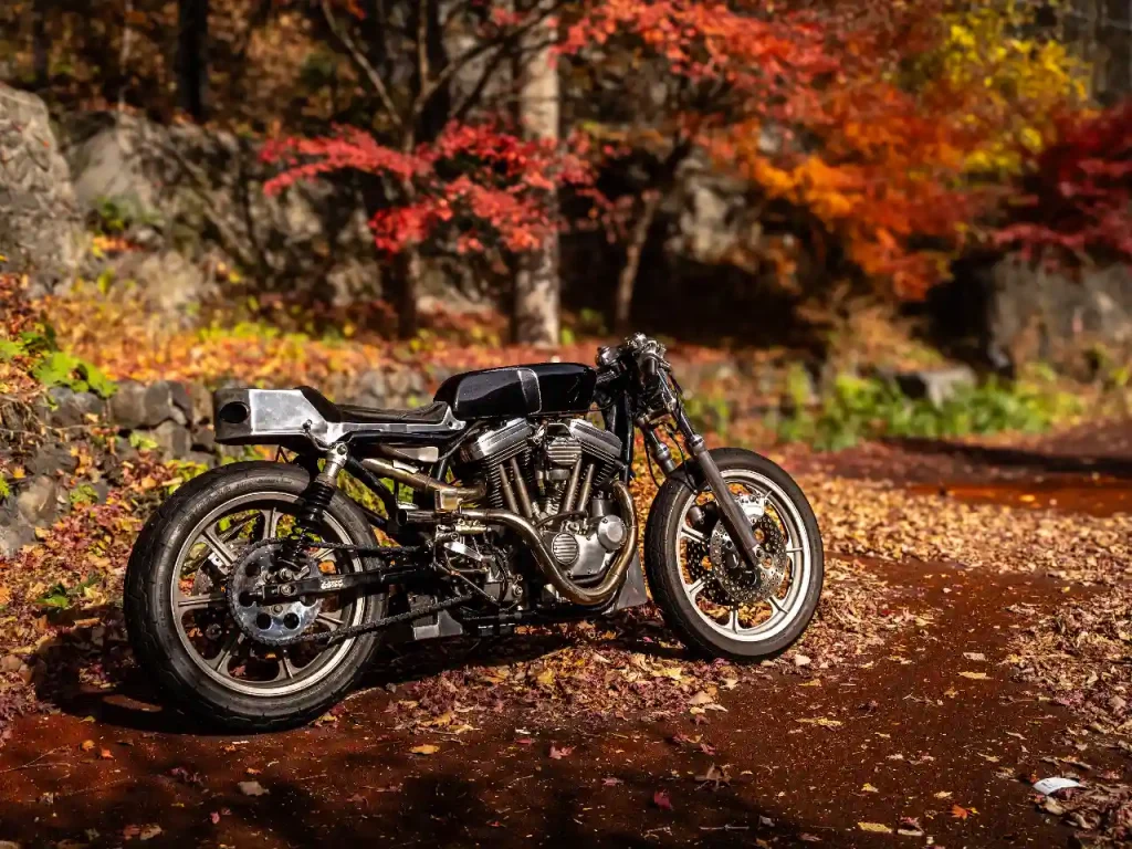 1996 HARLEY-DAVIDSON SPORTSTER(通稱:double tail) Photo by @021kota