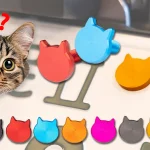 【新产品喵！】猫奴骑士专属！Kijima“猫咪车牌螺丝 M6×15”精致登场：铝合金切削 7 色展开的低调改装件