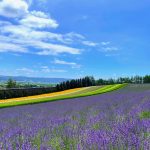 【北海道機車旅行第一彈】絕美景點10選！開陽台×知床五湖×富田農場×細岡展望台×トドワラ看點設施詳盡解說