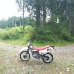 Honda「XLR125R（125cc）」車主評價｜機車行偶遇購入×XLR200R同規格車架林道騎乘×氣冷單缸聲浪有味道×齒盤改裝計畫【Webike愛車精選】