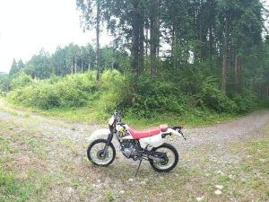 Honda「XLR125R（125cc）」車主評價｜機車行偶遇購入×XLR200R同規格車架林道騎乘×氣冷單缸聲浪有味道×齒盤改裝計畫【Webike愛車精選】