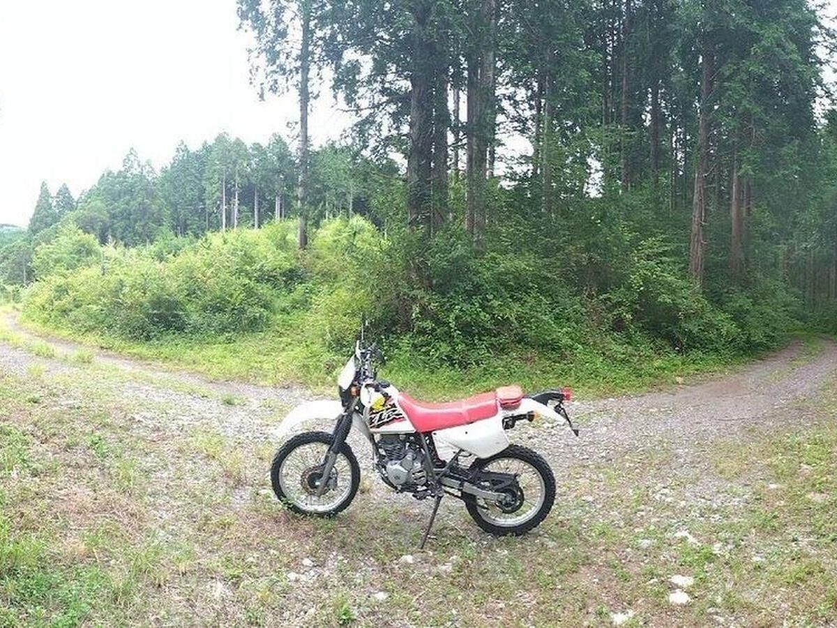 Honda「XLR125R（125cc）」車主評價｜機車行偶遇購入×XLR200R同規格車架林道騎乘×氣冷單缸聲浪有味道×齒盤改裝計畫【Webike愛車精選】