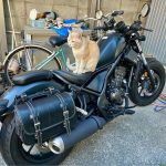 Honda“Rebel 250（250cc）”车主评价｜旅行急购×低扭力起步轻松×把手座椅改装×侧风漂移高速吃力缺点【Webike爱车精选】