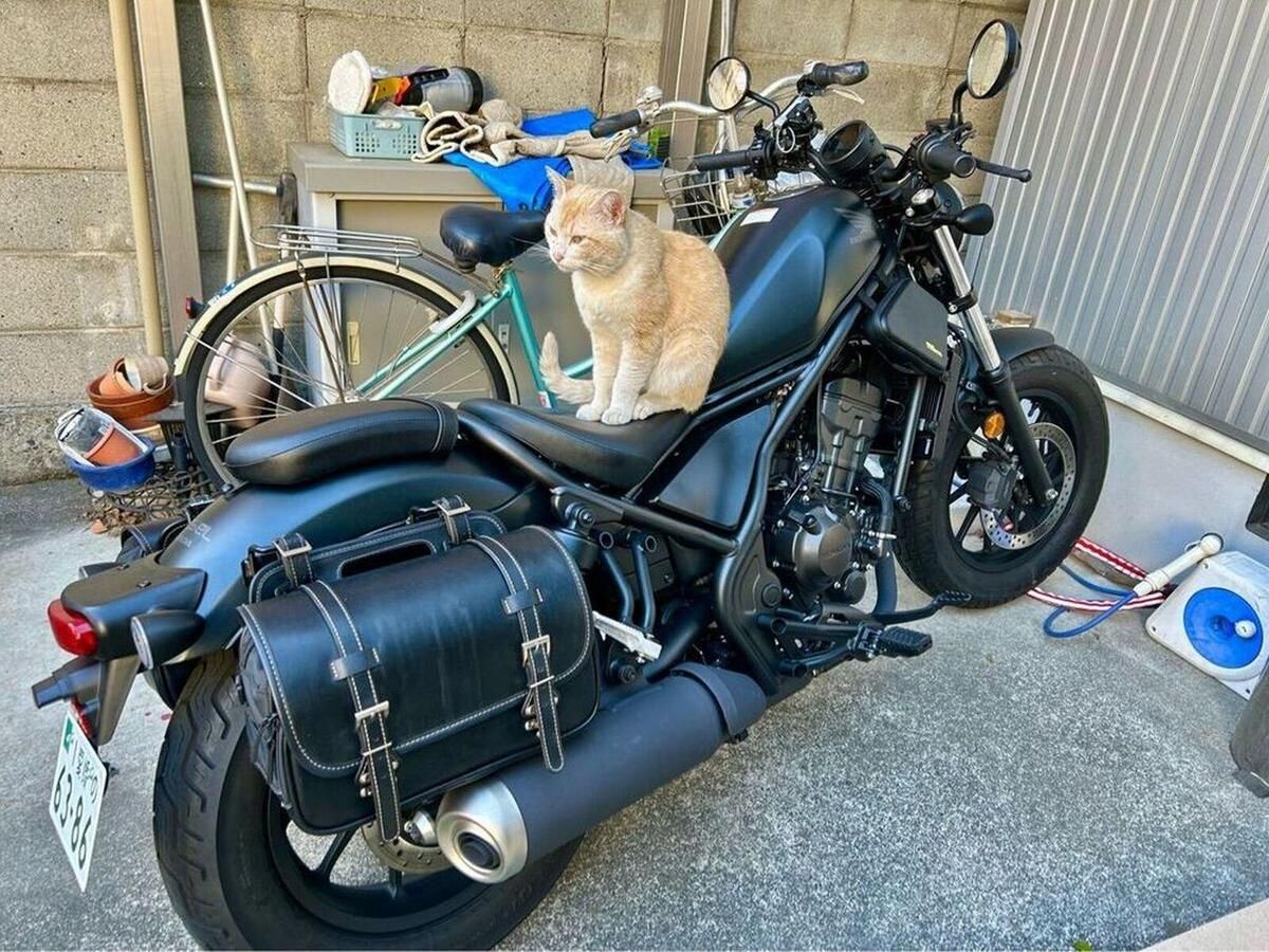 Honda「Rebel 250（250cc）」車主評價｜旅行急購×低扭力起步輕鬆×把手座椅改裝×側風漂移高速吃力缺點【Webike愛車精選】