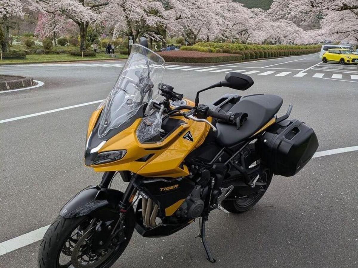Triumph「TIGER SPORT 800(800cc)」車主評價|13年後復出×直線穩定×彎道輕快×座墊改薄著地性缺點【Webike愛車精選】