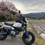 Honda“Monkey 125（125cc）”车主评价｜换车为了轻松出门×外型帅气可爱又好拍×改装乐趣多×缺点长途骑乘屁股痛【Webike爱车精选】