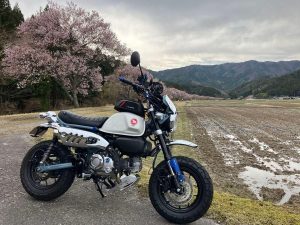 Honda「Monkey 125（125cc）」車主評價｜換車為了輕鬆出門×外型帥氣可愛又好拍×改裝樂趣多×缺點長途騎乘屁股痛【Webike愛車精選】