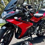 Suzuki“GSX250R（250cc）”车主评价｜全新购入×油耗36km/L×前齿盘改装×高速动力不足缺点【Webike爱车精选】