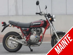 Honda Ape 100改裝電子儀表｜無電池車型流用後期型零件搭載12V電池×強化定子線圈