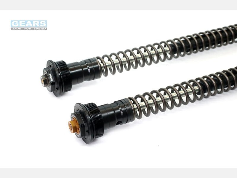 GEARS RACING FFC-250-T 前叉內管匣 正叉用